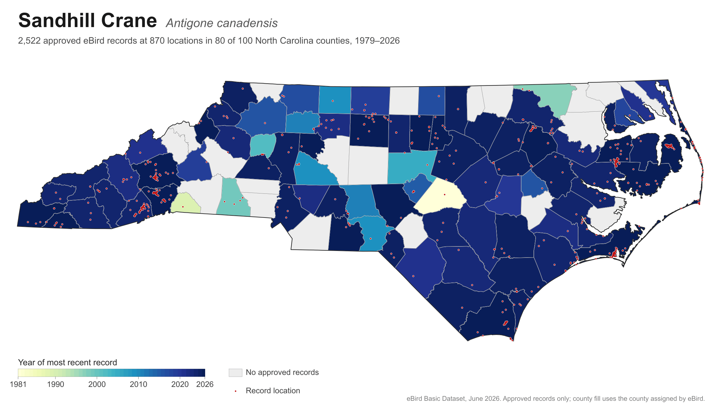 Antigone canadensis