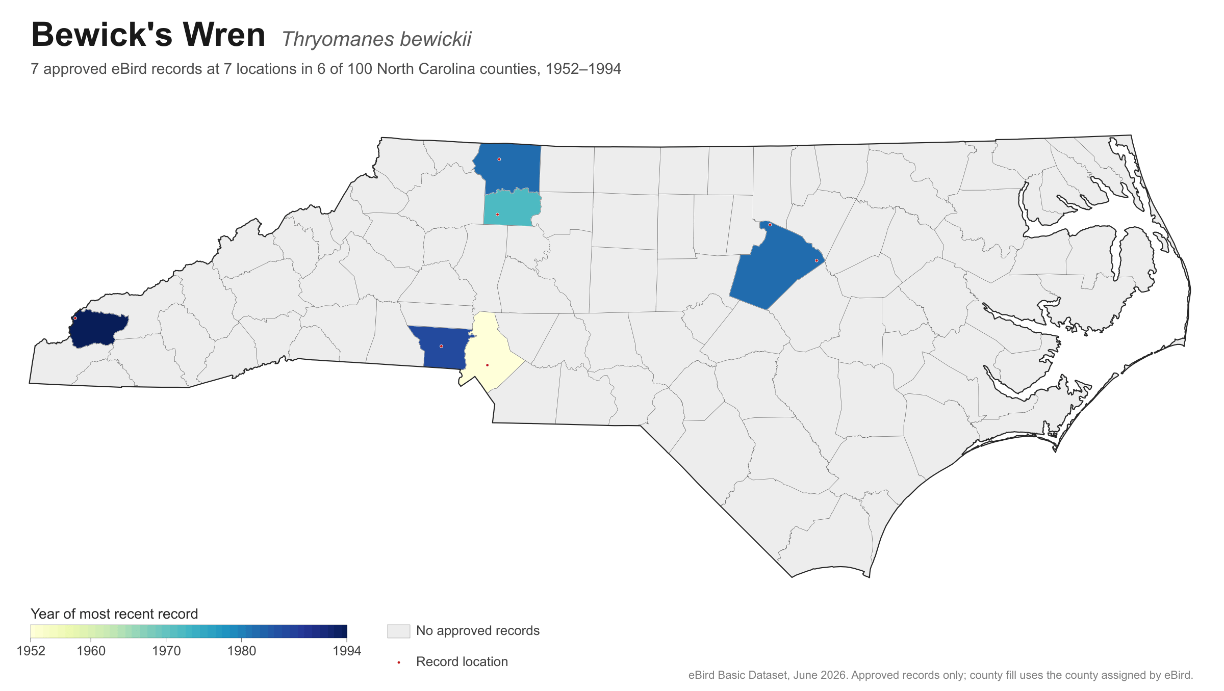 Thryomanes bewickii