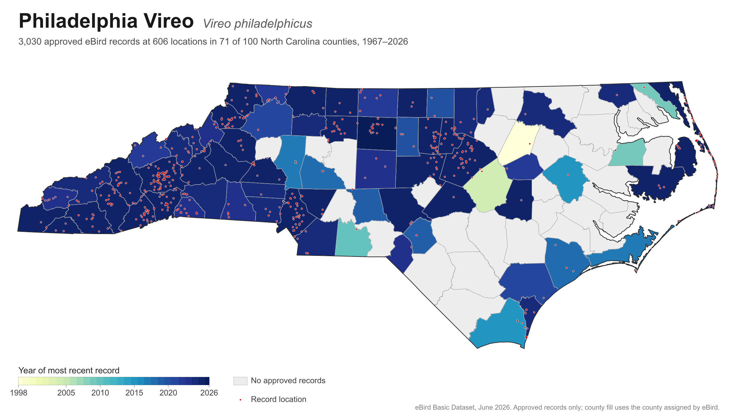 Vireo philadelphicus